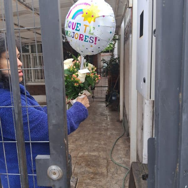Antonia en Ánfora - florero con 9 rosas blanco e hypericum
